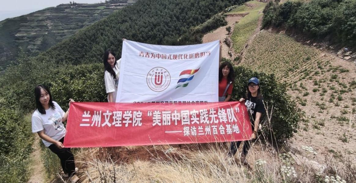 提笔上色，绘好金城百合—金城百合助农梦美丽中国实践团